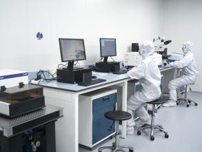 lab