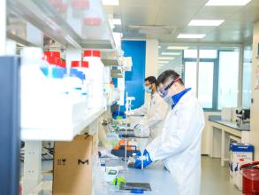 lab