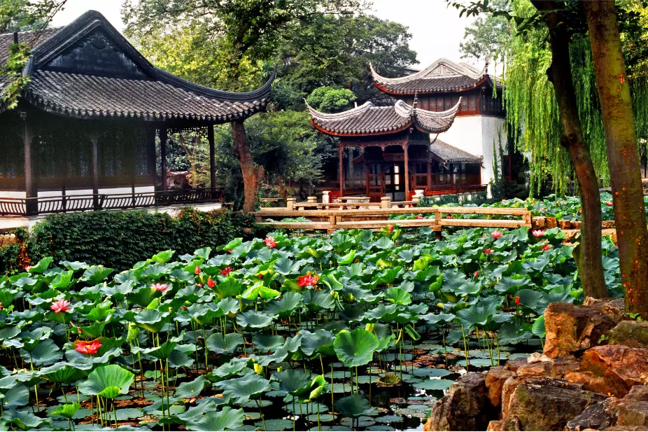 garden1